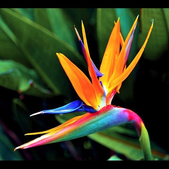 Meet your Posher, Charity - Picture 1 of 1